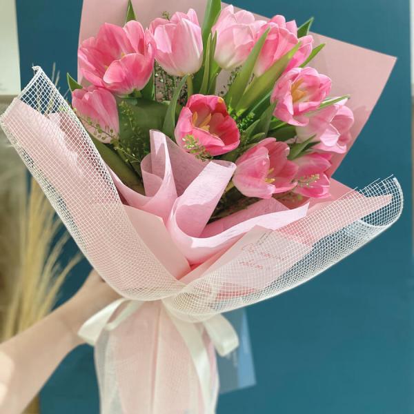 Hoa tulip ngọt ngào