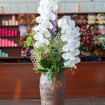 Lan hồ điệp - Hồ điệp cao cấp 02 - 15744